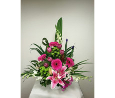 FM0066(FROM 